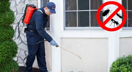 Zonguldak Hamam Böceği İlaçlama böcek ilaçlama ve haşere kontrolü — ilaclama-tr.com